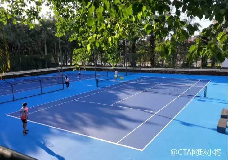 中国网球青苗计划星级评定工作正式启动