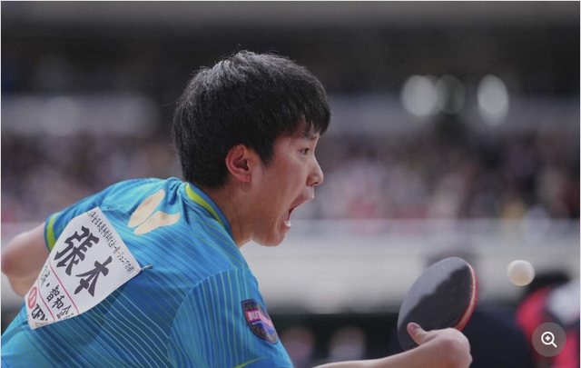 张本兄妹携手杀进世界杯单打8强，张本智和创日本男乒历史